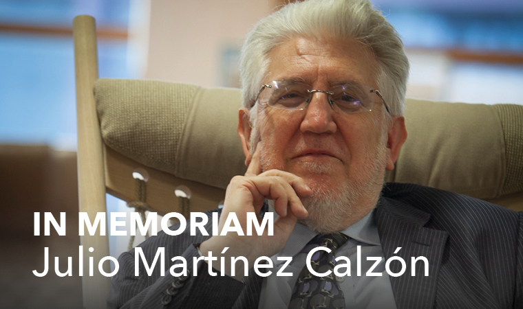 Julio Martínez Calzón, in memoriam